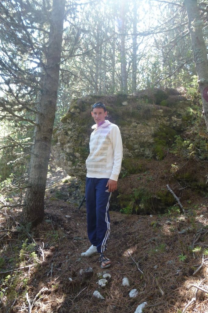 slika