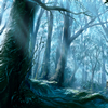 La forêt d'Orphée