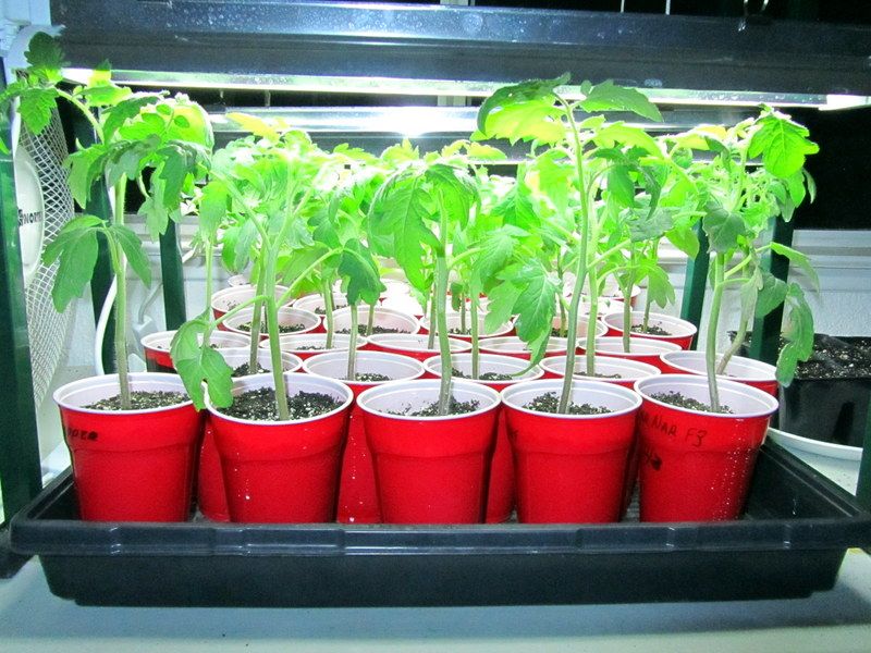  photo IMG_2268_zpsd91ab657-1_zps4ae42383.jpg