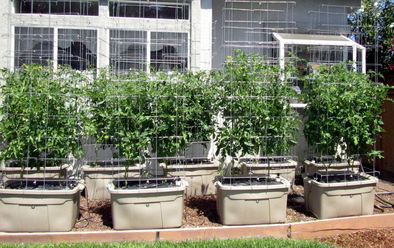  photo IMG_2421_zpsdfbe70ec.jpg