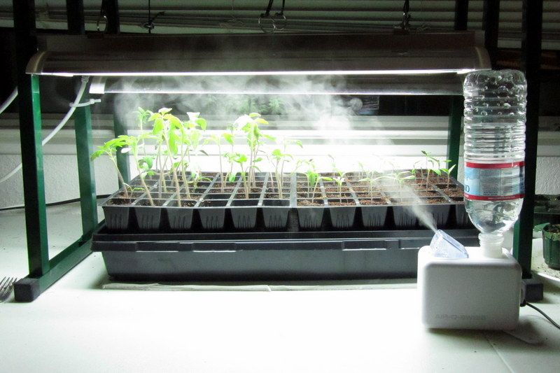  photo IMG_2661_zps81bfbbfa.jpg