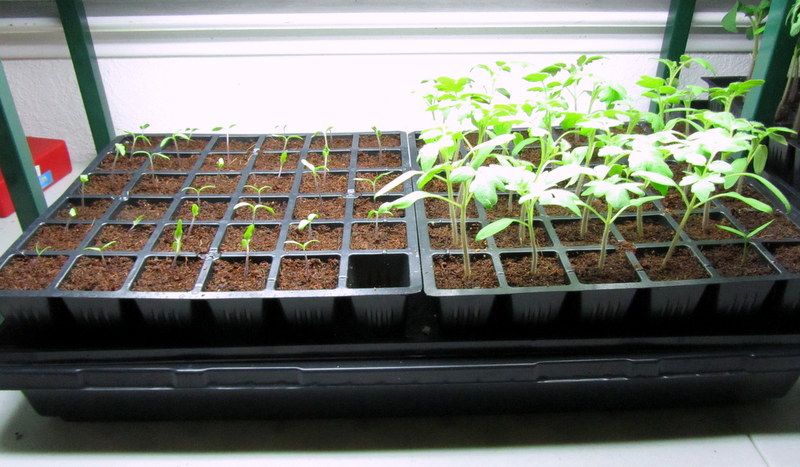  photo IMG_2677_zpsf29ecb3a.jpg