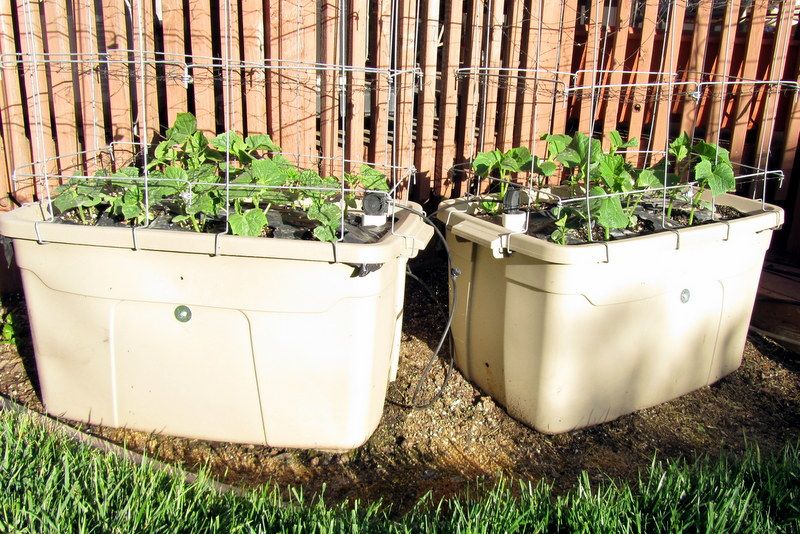  photo IMG_2756_zps0c129df3.jpg