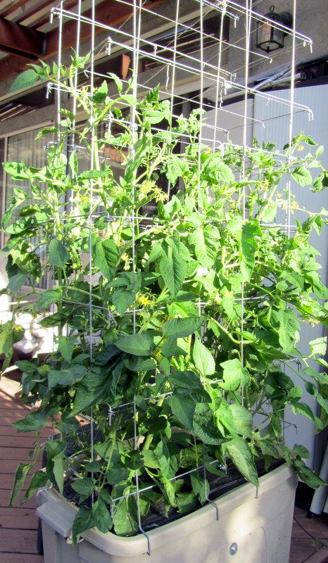  photo IMG_2758_zps8eb693b5.jpg