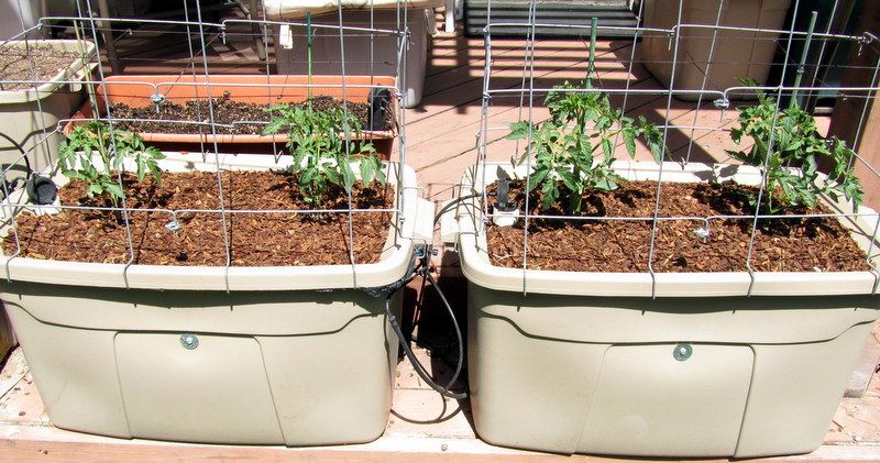  photo IMG_2769_zpsf7895069.jpg