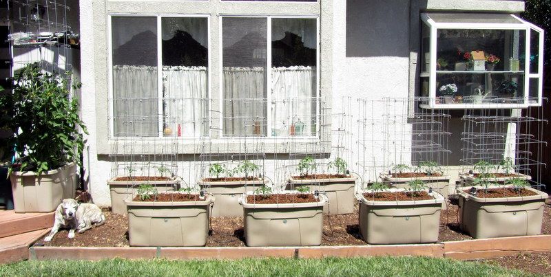  photo IMG_2773_zps4ff183f1.jpg