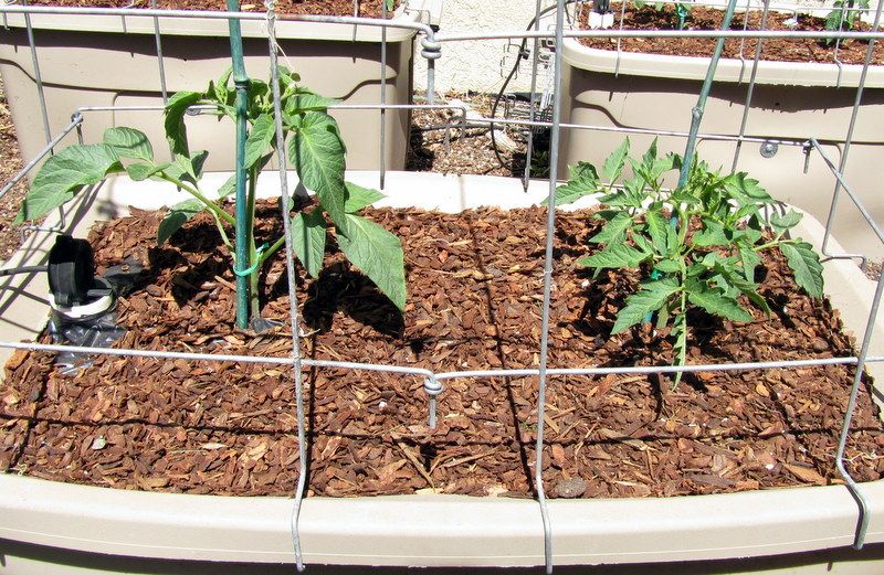  photo IMG_2777_zps86989179.jpg