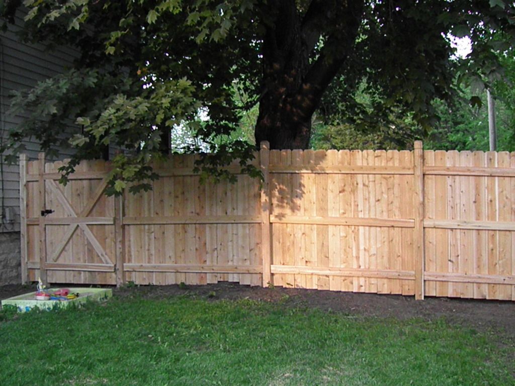 New Fence