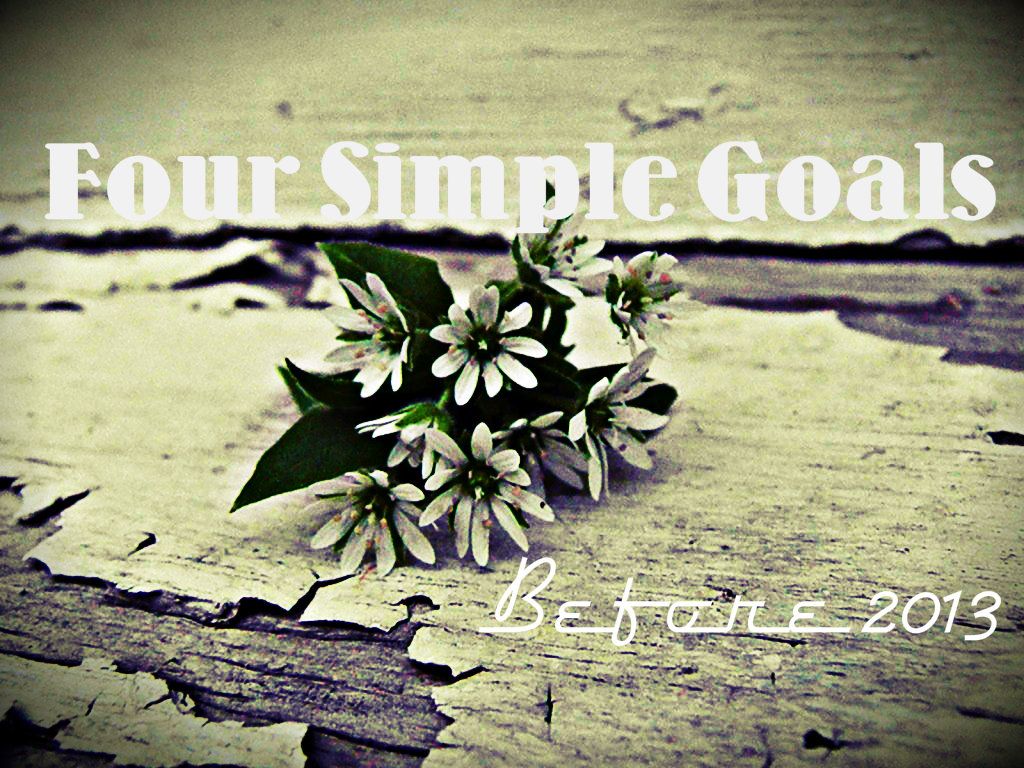 FourSimpleGoals