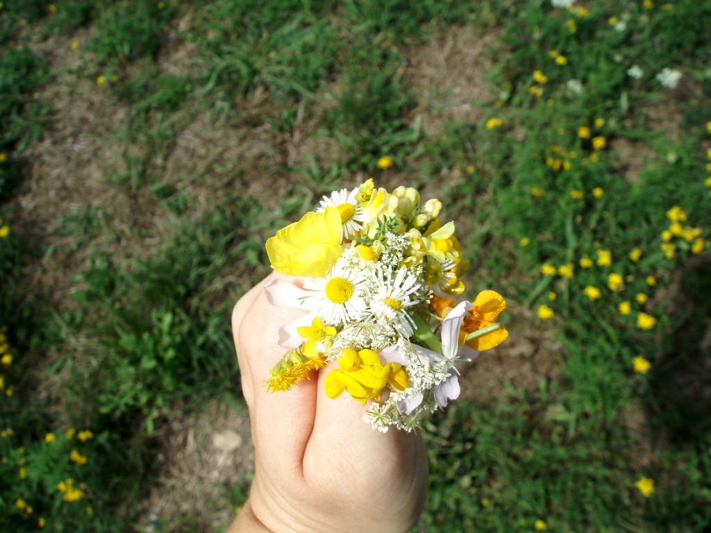 Finger Bouquet, Taking a walk along the trails