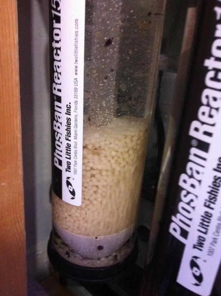 photo9.jpg