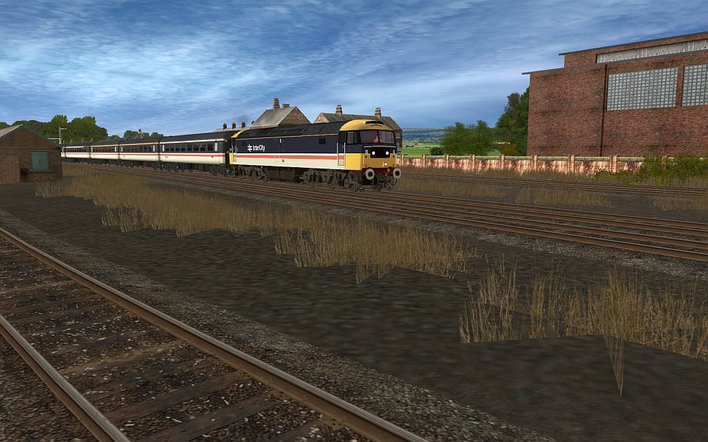 475.jpg