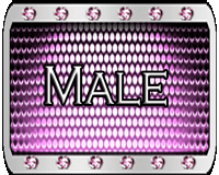*CD Male/Hombre