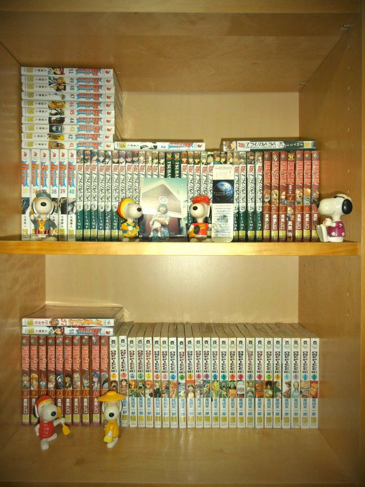 http://i1066.photobucket.com/albums/u414/tinkimmy/Bookshelf-before_zps726d3a6b.jpg