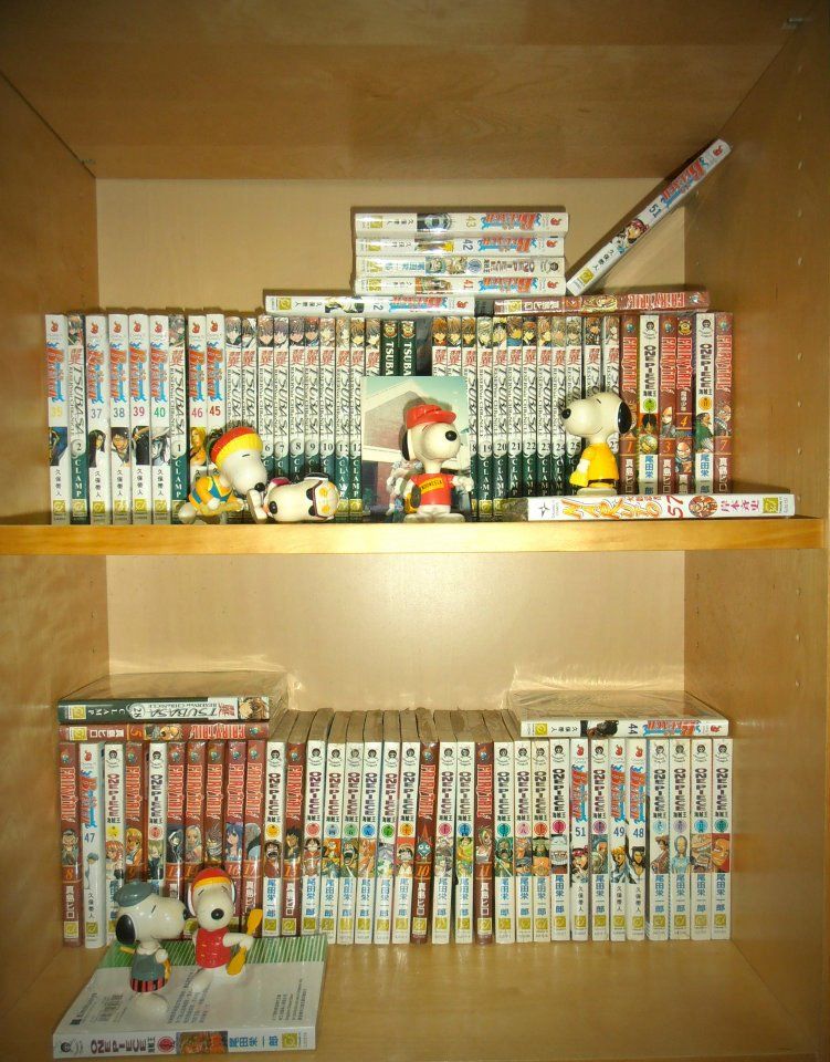 http://i1066.photobucket.com/albums/u414/tinkimmy/bookshelf-after_zps07830c7e.jpg