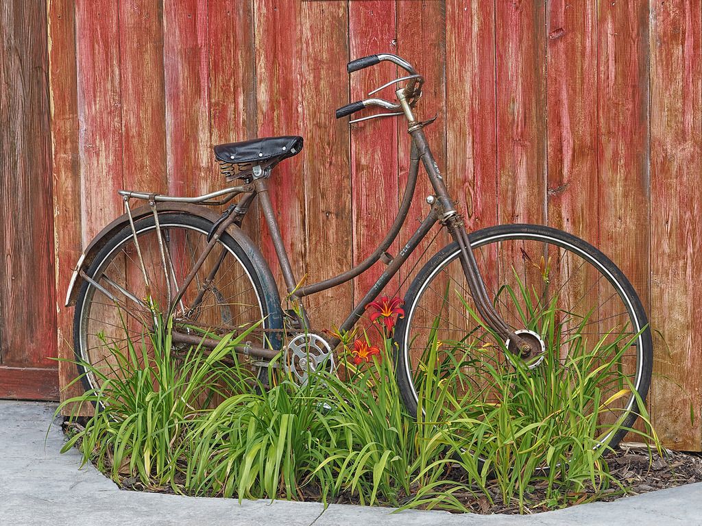 IMAGE: http://i1066.photobucket.com/albums/u415/woollyback/zoo-258-HDRbwebw22_zpsxgdvjkso.jpg