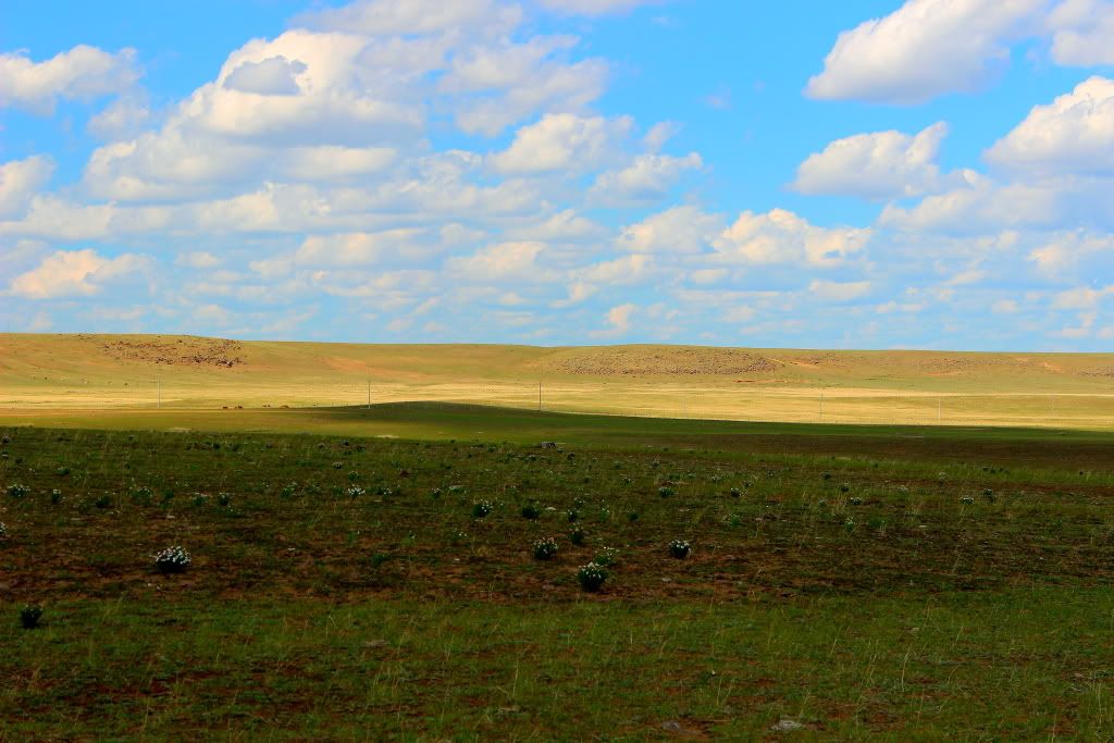 达里诺尔湖--环湖游记二(达里湖西岸、北岸) 达里诺尔湖--环湖游记二(达里湖西岸、北岸)