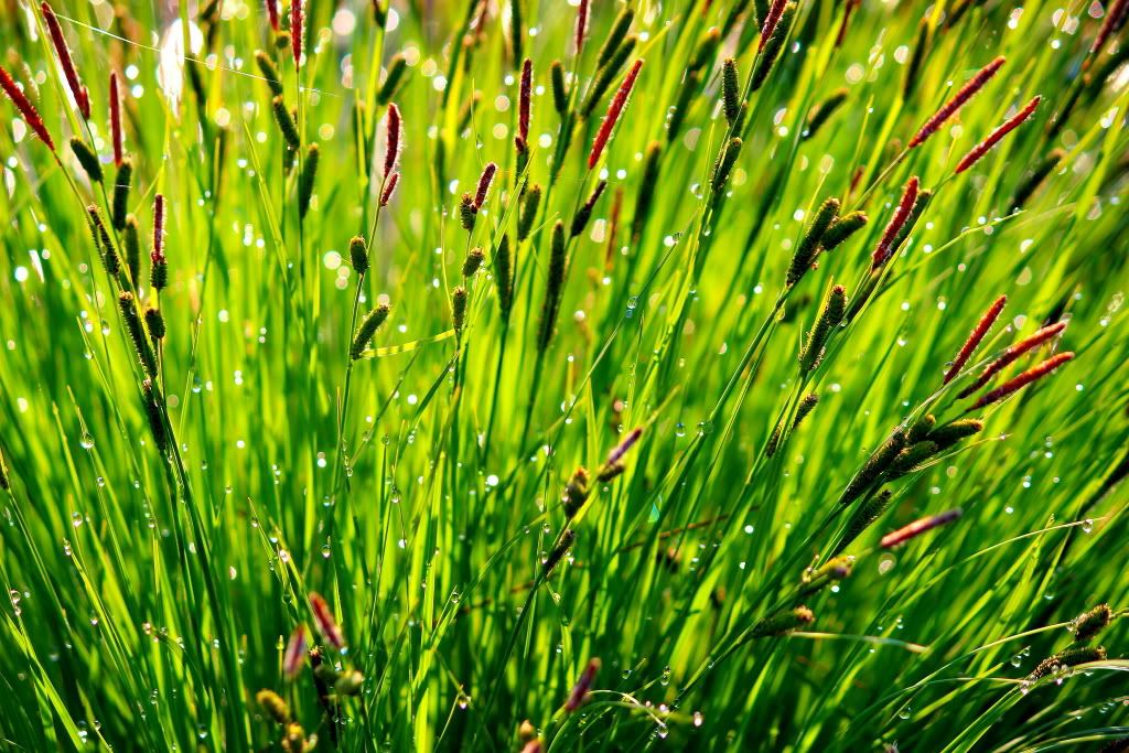 达里诺尔湖--环湖游记三(达里湖南岸、曼陀山、岗更诺尔湖) 达里诺尔湖--环湖游记三(达里湖南岸、曼陀山、岗更诺尔湖)