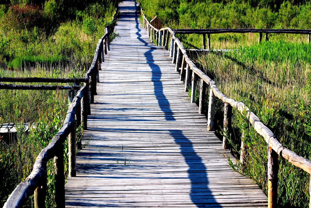 达里诺尔湖--环湖游记三(达里湖南岸、曼陀山、岗更诺尔湖) 达里诺尔湖--环湖游记三(达里湖南岸、曼陀山、岗更诺尔湖)
