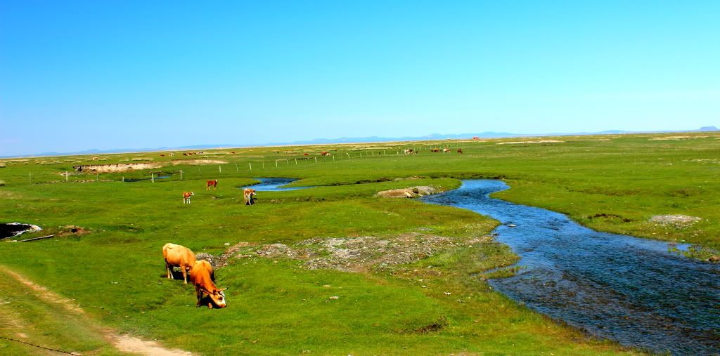 达里诺尔湖--环湖游记三(达里湖南岸、曼陀山、岗更诺尔湖) 达里诺尔湖--环湖游记三(达里湖南岸、曼陀山、岗更诺尔湖)