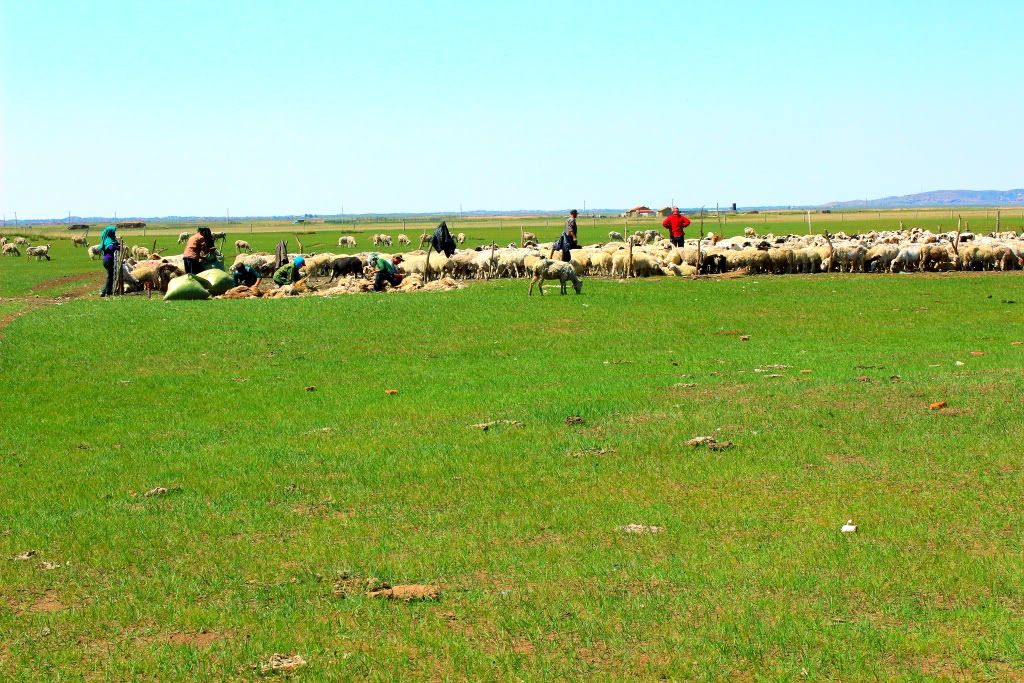 达里诺尔湖--环湖游记三(达里湖南岸、曼陀山、岗更诺尔湖) 达里诺尔湖--环湖游记三(达里湖南岸、曼陀山、岗更诺尔湖)
