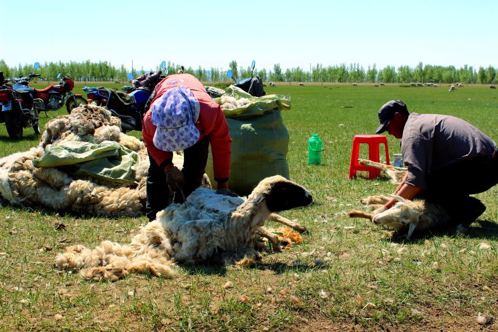 达里诺尔湖--环湖游记三(达里湖南岸、曼陀山、岗更诺尔湖) 达里诺尔湖--环湖游记三(达里湖南岸、曼陀山、岗更诺尔湖)