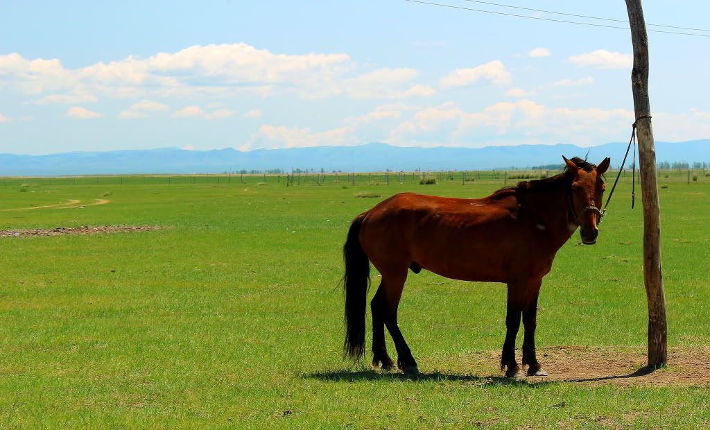达里诺尔湖--环湖游记三(达里湖南岸、曼陀山、岗更诺尔湖) 达里诺尔湖--环湖游记三(达里湖南岸、曼陀山、岗更诺尔湖)