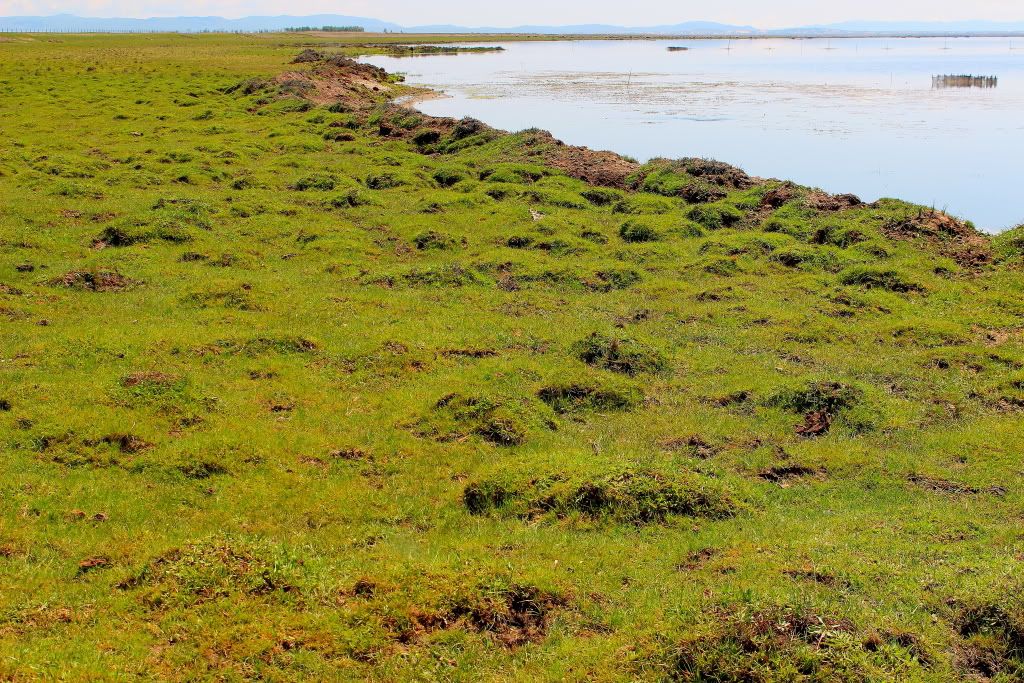 达里诺尔湖--环湖游记三(达里湖南岸、曼陀山、岗更诺尔湖) 达里诺尔湖--环湖游记三(达里湖南岸、曼陀山、岗更诺尔湖)