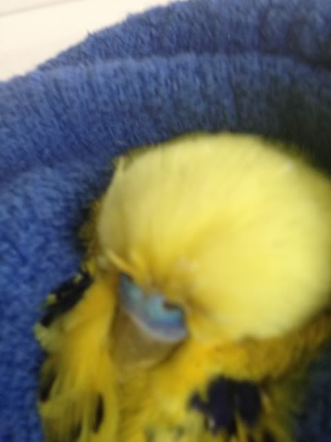 IMG_0015.jpg?t=1343362597