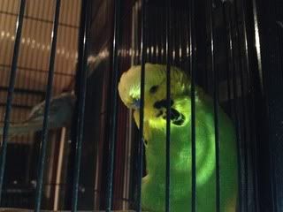 IMG_0425.jpg?t=1336991392