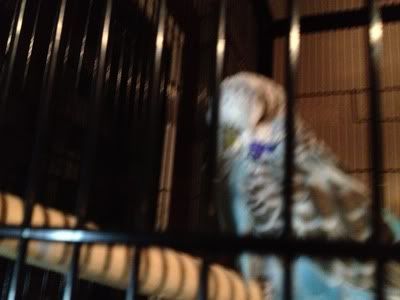 IMG_0427.jpg?t=1336991717