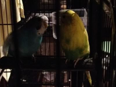 IMG_0452.jpg?t=1337074161