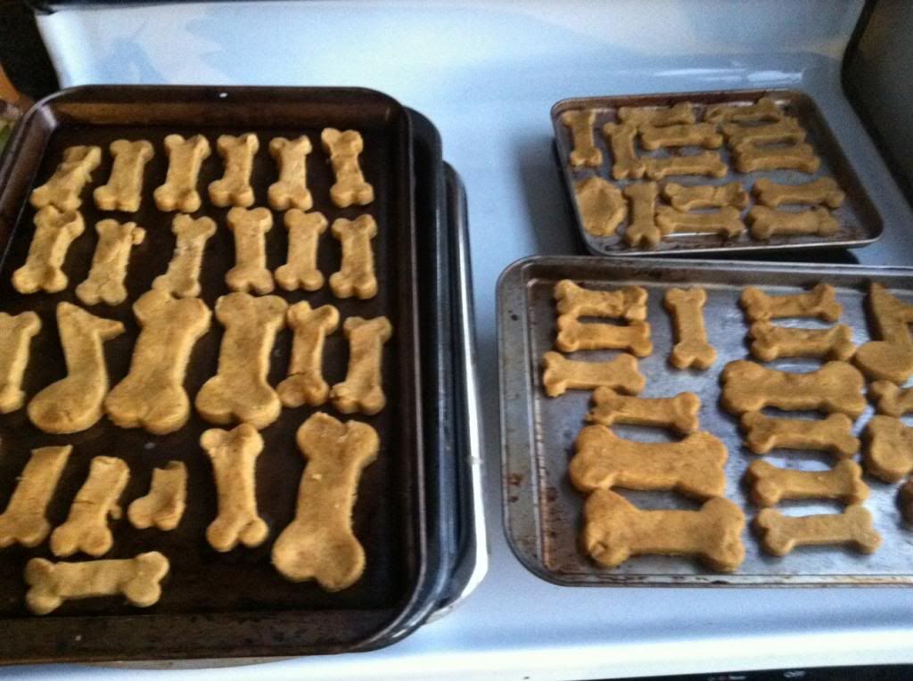 pan of dog treats Pans of dog treats from Protect Your Bubble Pet Insurance about to go into the oven