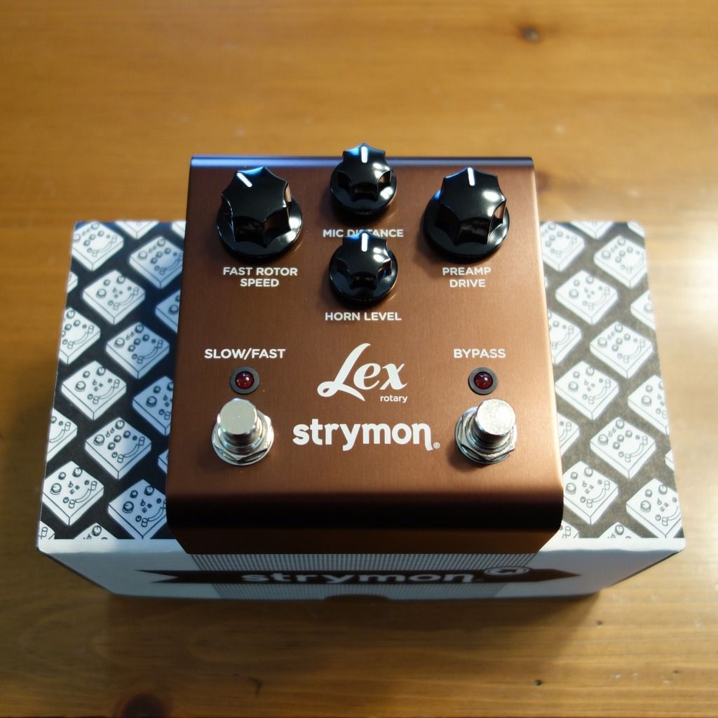 strymon lex