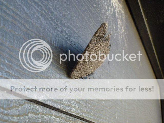 i1066.photobucket.com/albums/u414/turtle-web/P1110225.jpg