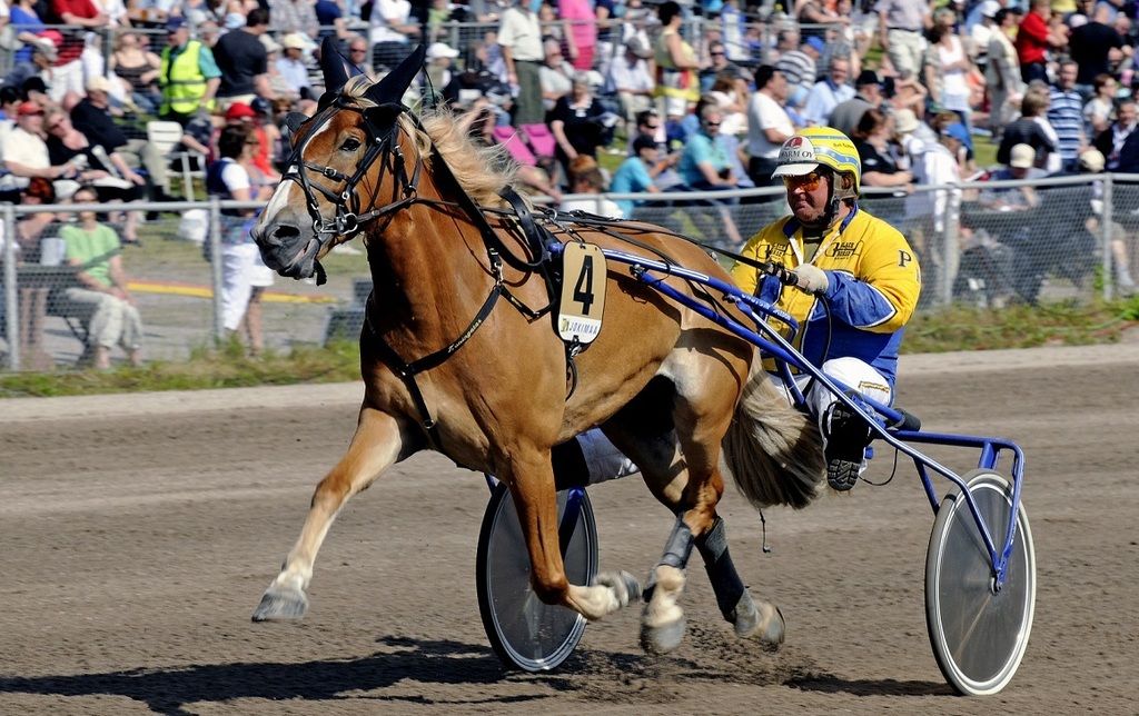 © Hippola / Pirje Paananen
