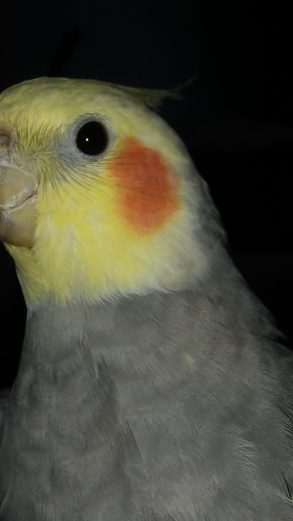 IMAG0528.jpg