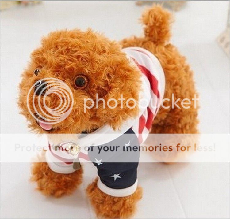 free shipping teddy dog puppy plush toy doll birthday gift for
